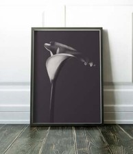 Calla lily, fine art, black & white still life, Robert Mapplethorpe, flowers 