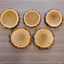 5 X Acacia Cinghiale AF 14,5