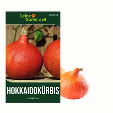 Semi di zucca Hokkaido Uchiki