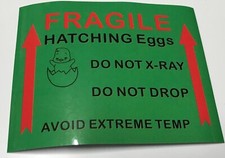 50 adesivi uova da cova