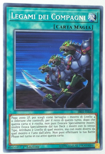 Legami dei compagni - dei, comune
