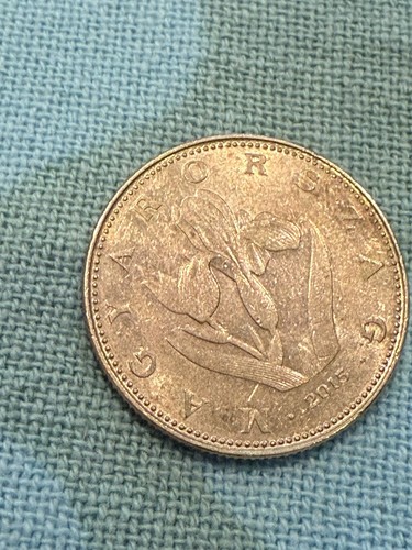 Moneta forint ungheria - moneta,