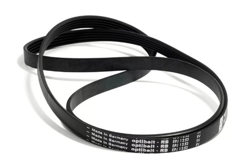Cinghia elastica traino