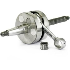 ALBERO MOTORE CARENZI EVO SP12