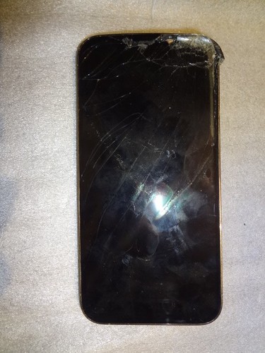 Apple iphone pro max - apple, 12