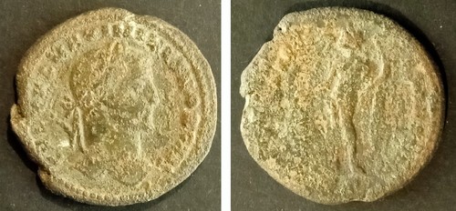 Massimino daza follis al - ii,