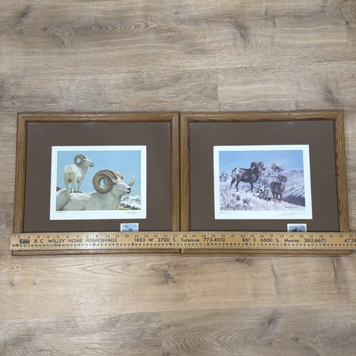 Lotto stampe north - lotto,