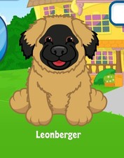 Webkinz Classic Leonberger