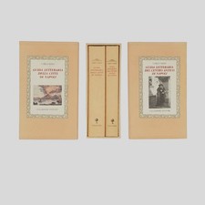 Raso guida letteraria - guida,