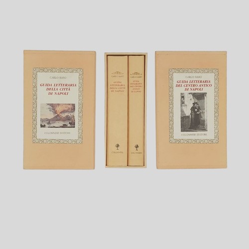Raso guida letteraria - raso,