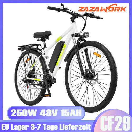 Bicicletta elettrica