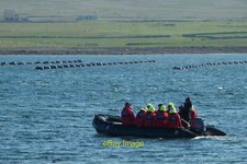 Photo 6x4 Zodiac tender at