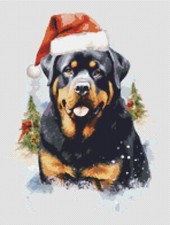 Dog's Delight Rottweiler Dog