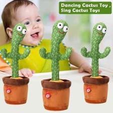 Cactus Ballerino Danzerino -