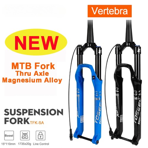 Forcella mtb asse passante