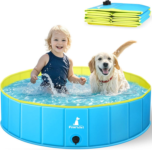 Piscina per cani - piscina, vasca