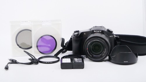 Sony cyber shot dsc rx10 - sony, cyber-shot