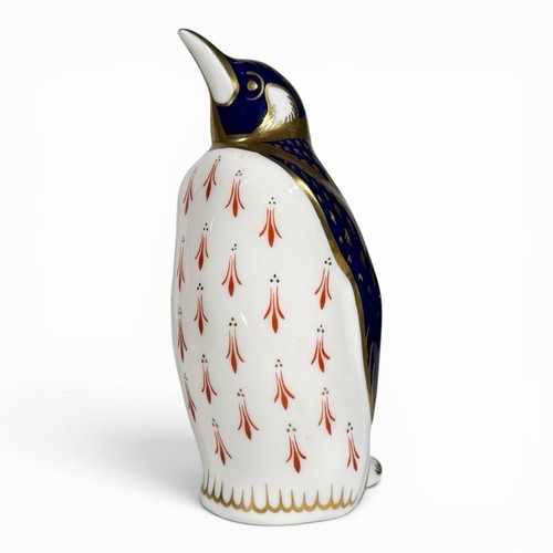 Royal crow derby pinguino - crow,