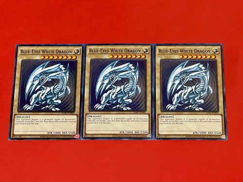 Drago bianco occhi - occhi, blu