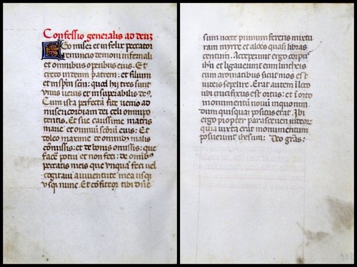Grafia pergamena foglia - pergamena, di