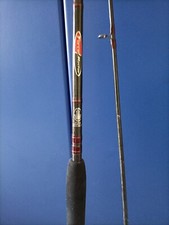 canna da pesca spinning mare Shimano
