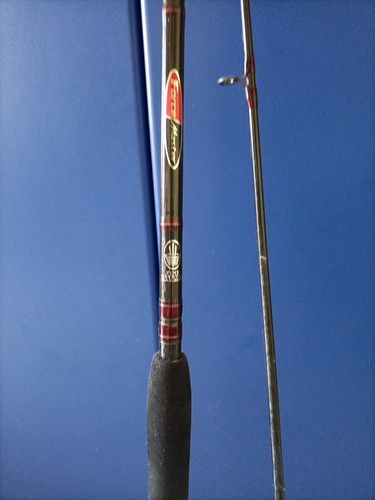 Canna pesca spinning mare - da,
