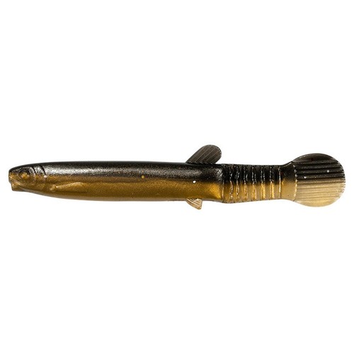 Esca pesca loach in - pesca,