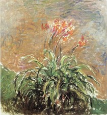 Monet - Hemerocallis A1-A4