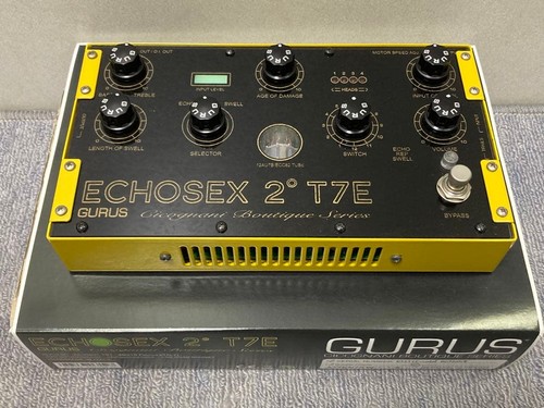 Gurus echosex t7e 010 - echosex,