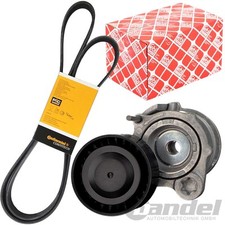 FEBI TENDICINGHIA CONTI