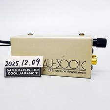 Trasformatore step-up