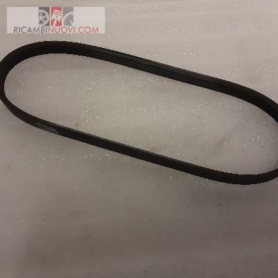 Cinghia trasmissione poly - cinghia, poly-v