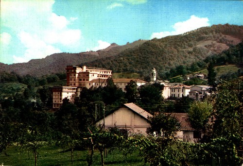 Madonna dei boschi - madonna, di