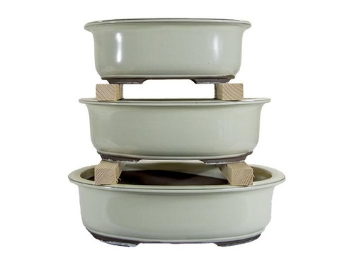 Vasi per bonsai giapponesi - bonsai,