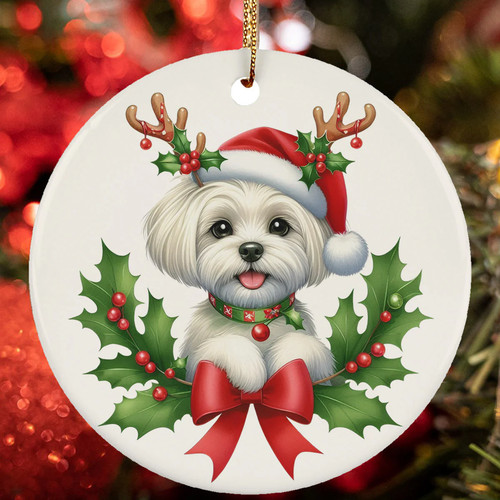Divertente renna cane - , maltese