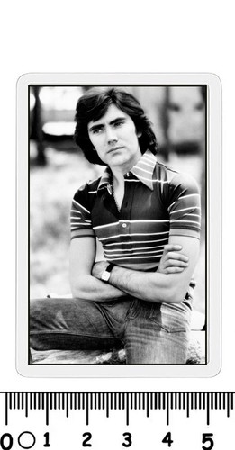 Calamita cantante famoso 45 - famoso,