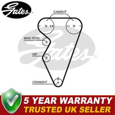 Cinghia distribuzione Gates