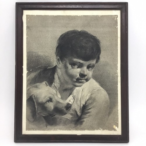 Giovane ragazzo cane - ragazzo,
