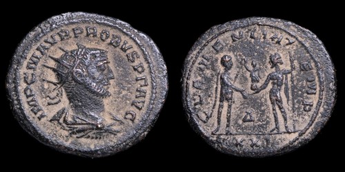 Probus clementia temp - -,