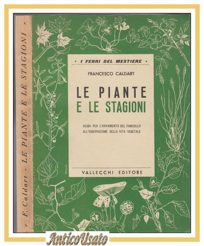 Piante stagioni di - le,