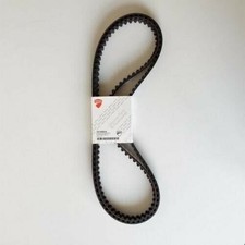 73710091A COPPIA CINGHIE