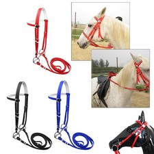 Briglia con Redini, Finimento