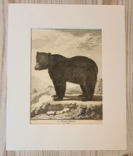 1767 litografia stampa