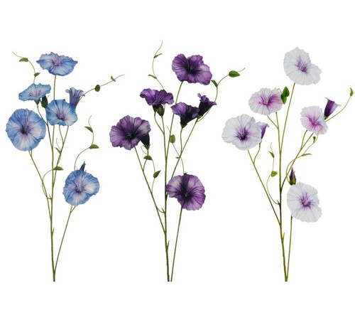 Ramo petunia 107 fiori - ramo,