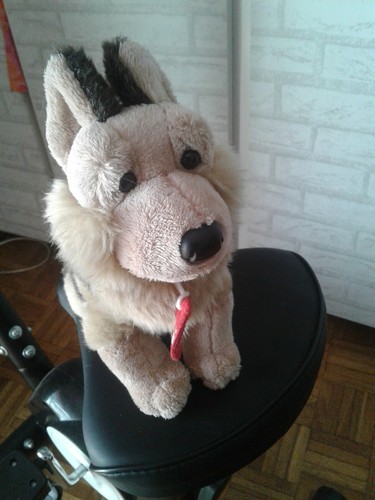 Pelouche trudi cane - -,