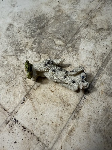 Cane statuina - cane,