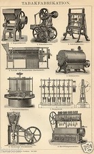 1893= PRODUZIONE TABACCO