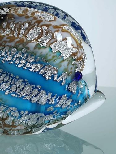 Murrina pesce tropicale - pesce,