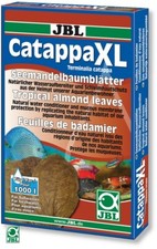 JBL CATAPPA XL FOGLIE DI
