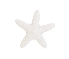 bomboniera 56232 stella marina